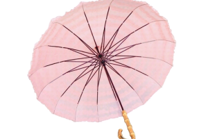 双丝伞