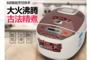 九陽JYF-40FE05智能電飯煲